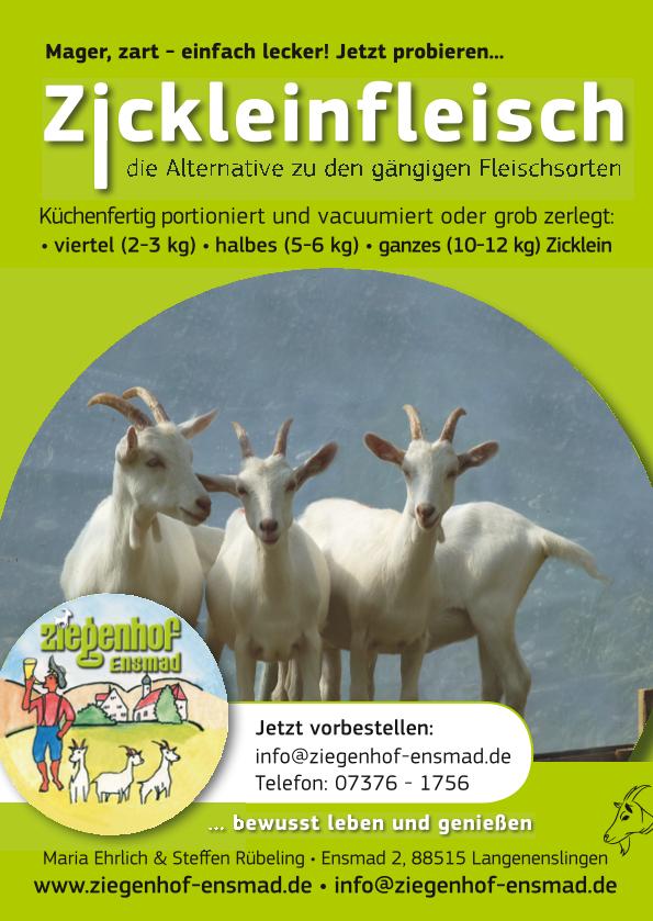 Zicklein 02